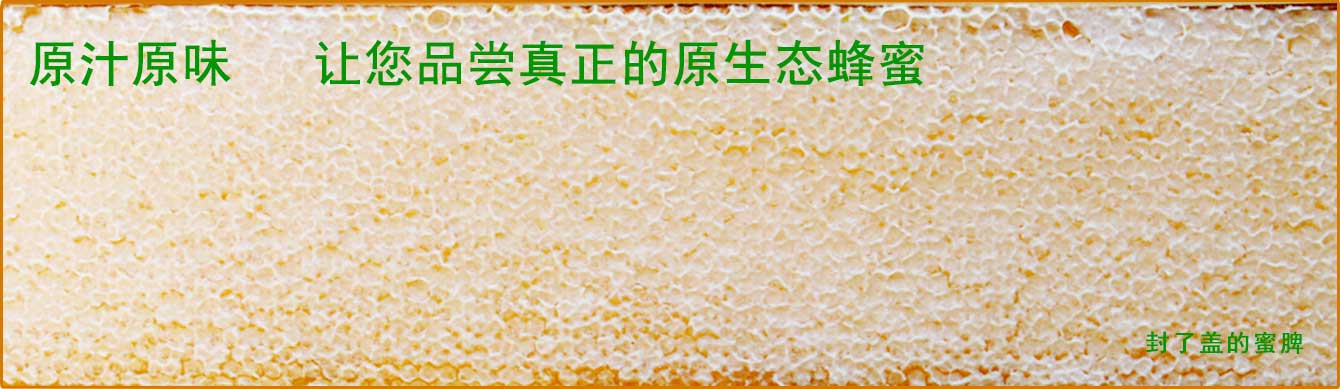 原汁原味，让您品尝真正的原生态蜂蜜